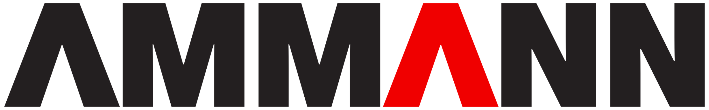 Ammann_Group_logo.svg