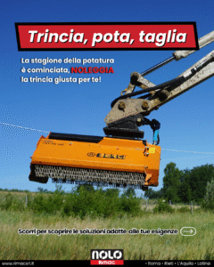 Testate trincianti