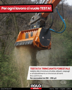 Testate trincianti